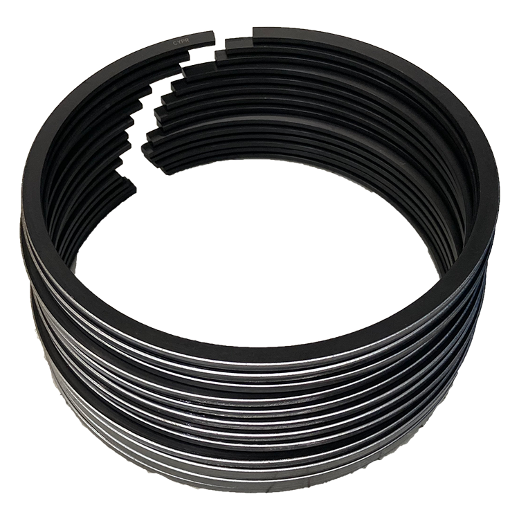 K12G05000010/梯形環