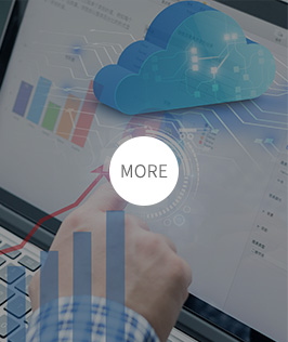 康沃控股電機制造系統