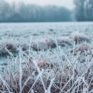 1760321684270995.jpg 1.jpg